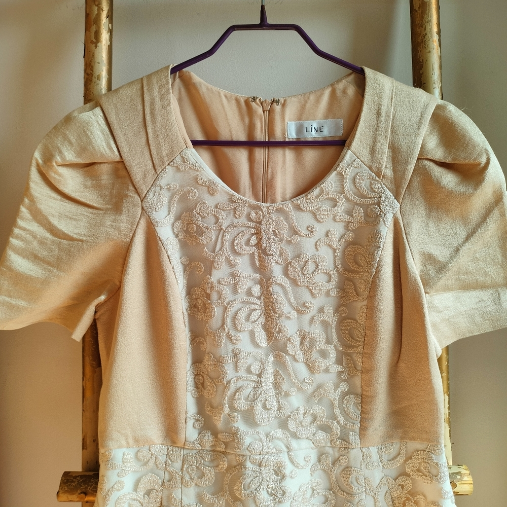 Korean Gold and Beige Embroidered Dress - Picture 13 of 14